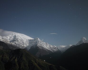 Download Eat Pray Bark (2026) Dual Audio (Hindi-English) Msubs WEB-DL 480p [305MB] || 720p [830MB] || 1080p [1.9GB]